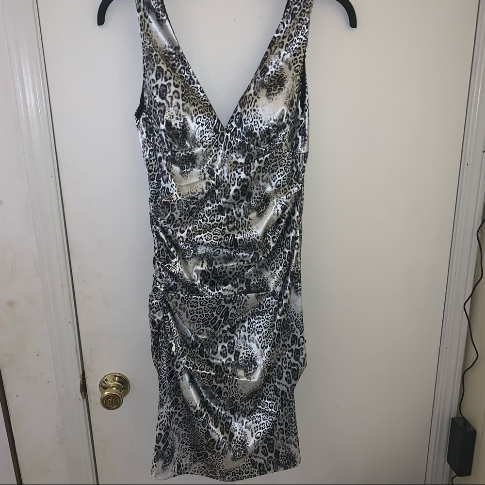 Beautiful Silk Dress